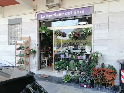 Piante & Fiori, Fiorista a Roma