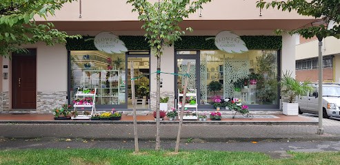 Flowers & Garden Fiorista Giardinaggio, Fiorista a Cesano Maderno