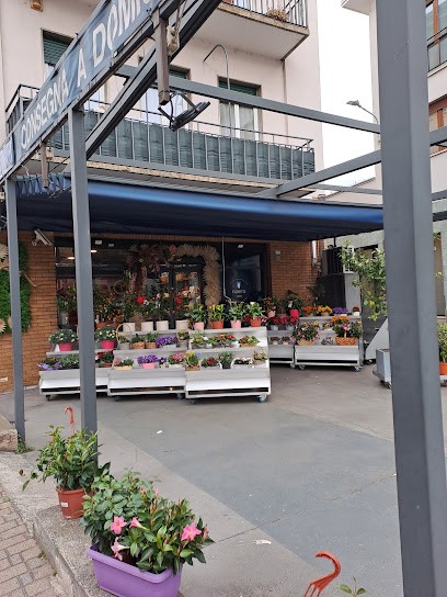 Fiorito Lecco, Fiorista a Lecco