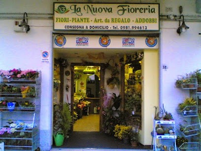 La Nuova Fioreria, Fiorista a Francavilla Marittima