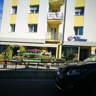 I Fiori Di Orio, Fiorista a Pergine Valsugana