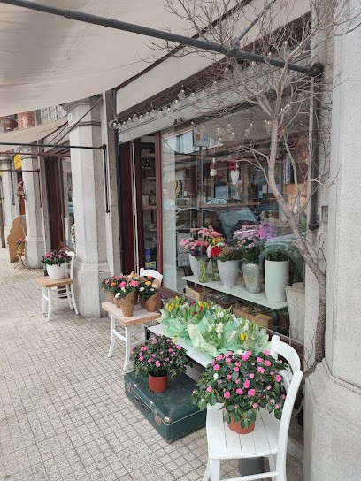 Fioreria Urša, Fiorista a Gorizia