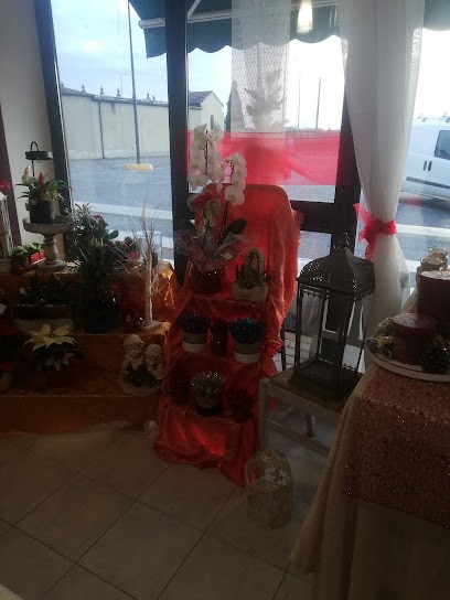 I Fiori In Forlì Idee Floreali, Fiorista a Forlì