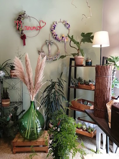 Alice Fiori & Pensieri, Fiorista a Vigarano Mainarda