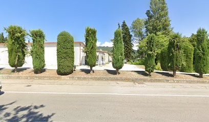 Il Girasole E La Viola Di Duranti Katia, Fiorista a Sansepolcro