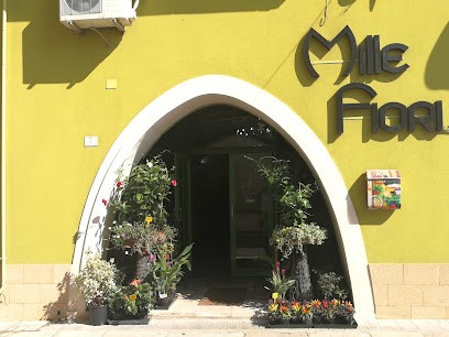 Millefiori, Fiorista a Trepuzzi