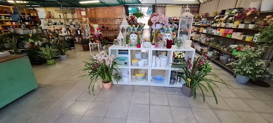 Società Agricola La Camelia Di Famà E Sofia, Fiorista a Milazzo