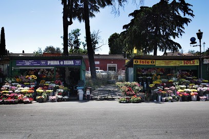 Bouquet E Composizione Di Fiori E Piante - Iole,Piera E Elda Roma, Fiorista a Roma