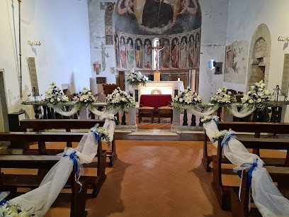 Fiori Amici Di Martorana Marco, Fiorista a Prato