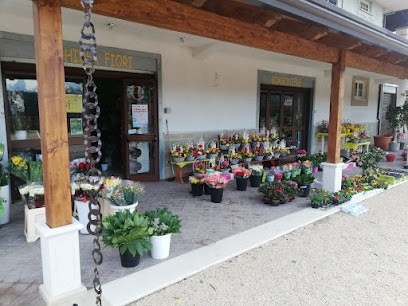 Orchidea Di Del Basso Davide, Fiorista a Sant'Agata de' Goti