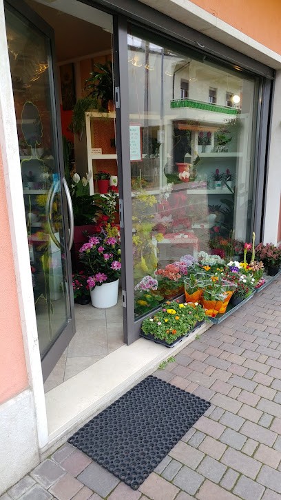 La Bottega Di Enrica, Fiorista a Veronella