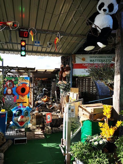 Floricoltura Matterazzo, Fiorista a Piove di Sacco