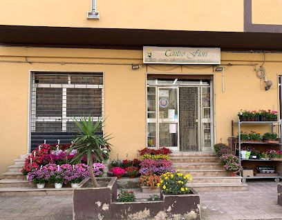 NEGOZIO DI FIORI / Vella Bianchettino Concetta, Fiorista a Siculiana