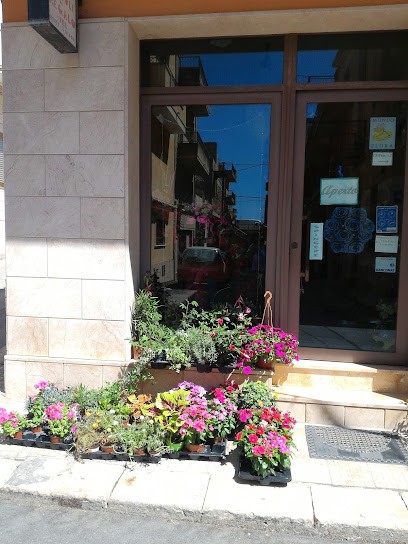 Centro Verde Di Ficili Massimo, Fiorista a Pachino