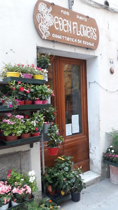 Fiori E Piante Eden Flowers Di Michele Giannetti, Fiorista a Montalcino
