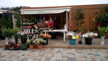 La Rosella Di Bernardo Crobu, Fiorista a Sant'Antioco