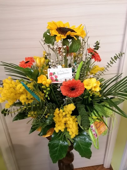 PIANTE E FIORI DI NAPOLITANO MATTEO - AGENZIA FUNEBRE H24, Fiorista a San Marco in Lamis