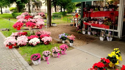 Raffaela Fiori, Fiorista a Orbassano