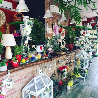 Fiorello Piante e Idee, Fiorista a Ladispoli