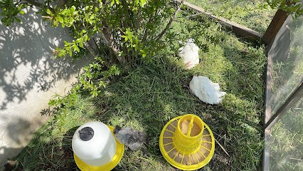 Il Giardino di Fiorella, Fiorista a Vespolate