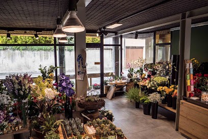 Fioreria Sandona' Di Sandona' Francesco & C (S.N.C.), Fiorista a San Pietro in Gu