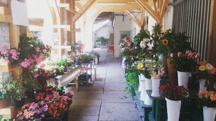 Il Chiostro Di Patty, Fiorista a Pesaro