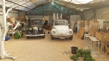 Green Garden Gadaleta, Fiorista a Terlizzi