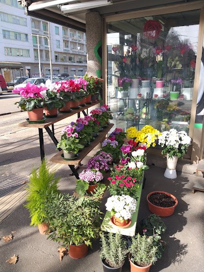 I FIORI DEL CORSO, Fiorista a Torino
