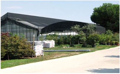 Floricoltura Fiscelli, Fiorista a Olgiate Olona