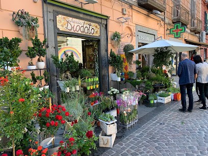 Fiorista Luca Diodato, Fiorista a Napoli