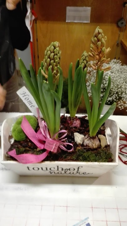 Angolo Verde, Fiorista a Empoli