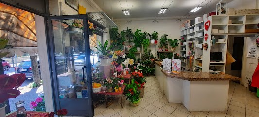 Fiori Del Corso, Fiorista a Mondovì
