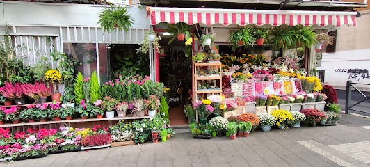Fiori Di Abramo, Fiorista a Roma