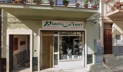 Piante E Fiori Di Tona Salvatore, Fiorista a Sciara