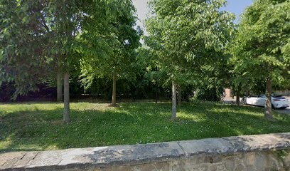 Irie Flora Di Parisi Marco, Fiorista a Missaglia