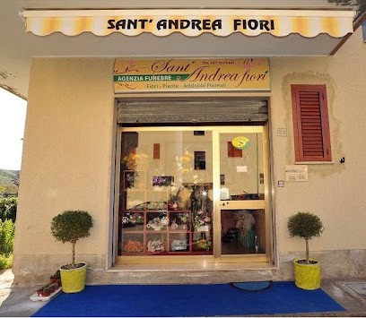 Sant'Andrea Fiori, Fiorista a Sant'Andrea Apostolo dello Ionio