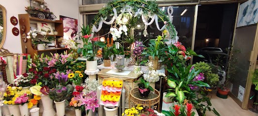 Piante Fiori Jasmin, Fiorista a Bologna