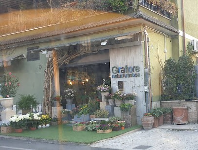 Piante e Fiori tivoli Girafiore natura artistica, Fiorista a Tivoli