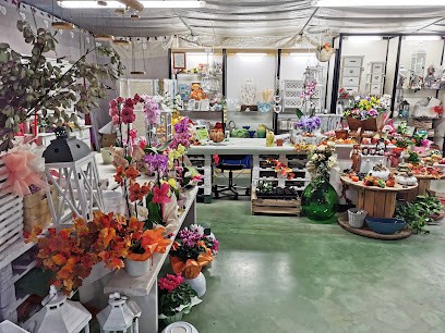 Chiarotto Vivai, Fiorista a Piazzola sul Brenta