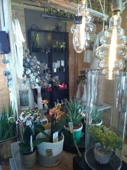 Perardi Fioristi, Fiorista a Rivarolo Canavese