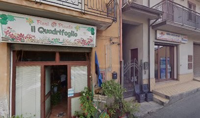 Il Quadrifoglio S.A.S. Di Anfuso Michele & C., Fiorista a Sant'Angelo di Brolo