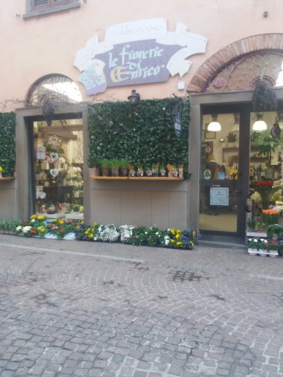 Fioreria Vitali Enrico, Fiorista a Urgnano