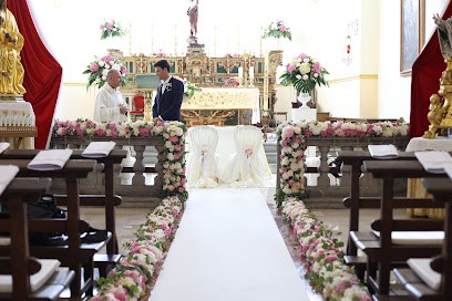 L'Orchidea Vanda Societa' Cooperativa Scrl, Fiorista a Tito