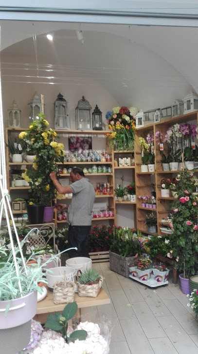 Non Solo Fiori Di Ciro E Giò, Fiorista a Piano di Sorrento