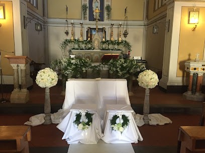 L'Orchidea Di Cicioni Carla, Fiorista a Marsciano