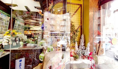 I Fiori Di Alex, Fiorista a Torino