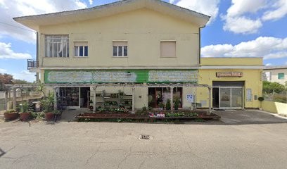 Sempre Verde - Piante E Fiori, Fiorista a San Gavino Monreale