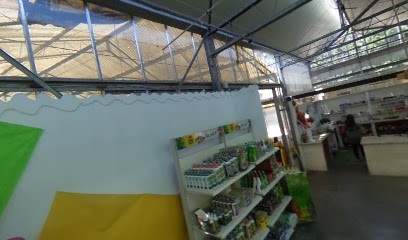 Ausonia Vivai, Fiorista a Corato