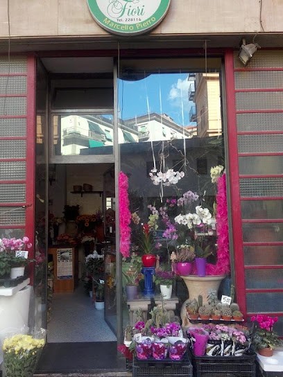 Pierro Marcello Fiori, Fiorista a Salerno