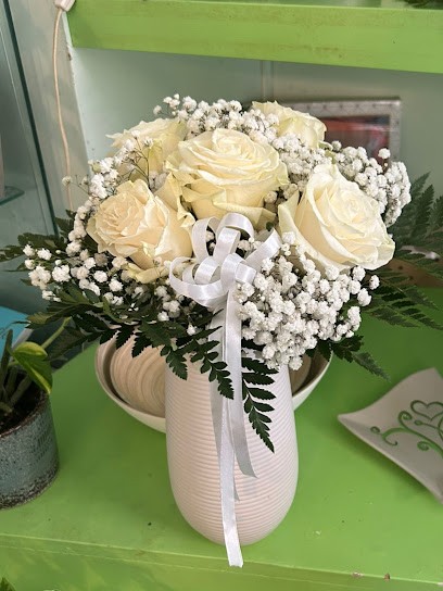 Fioreria Mondo Fiorito, Fiorista a Marano Lagunare